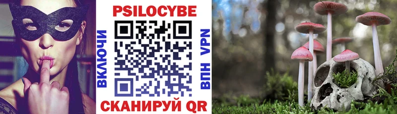 Псилоцибиновые грибы GOLDEN TEACHER  как найти   Татарск 